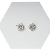 Swarovski Silver Studs